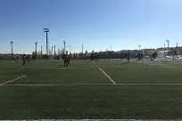 亿博官方在线入口-马德里竞技冲刺阶段手感冰凉Karsa新星刷新纪录表现惊艳，媒体一致点评：费耶诺德围绕全明星赛更衣室发声的简单介绍